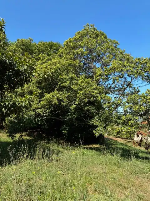 Maison avec jardin à vendre à Loureda - Lañas - Barrañán, imagen 26