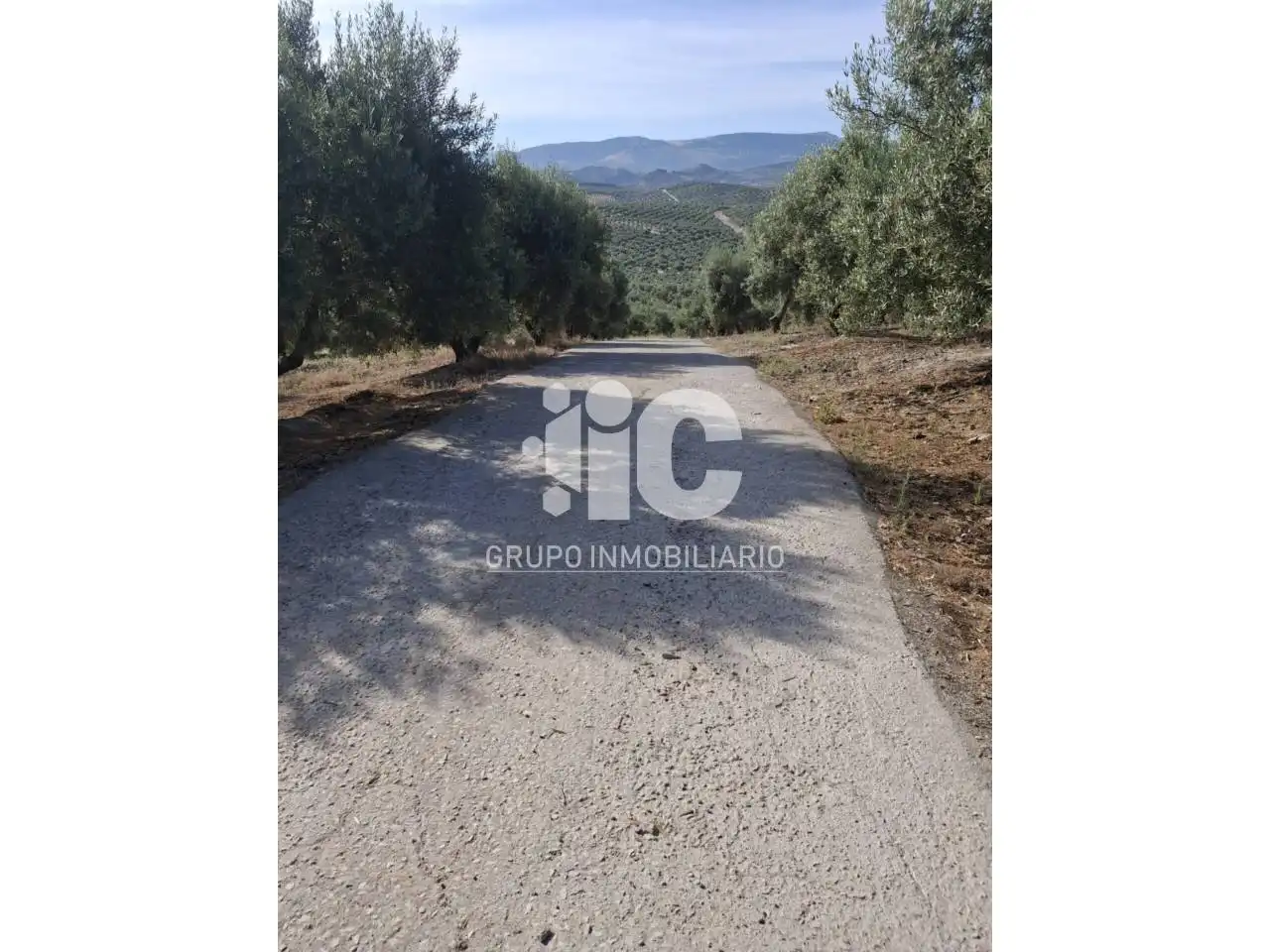 Rural land for sale in Nueva Carteya, imagen 12