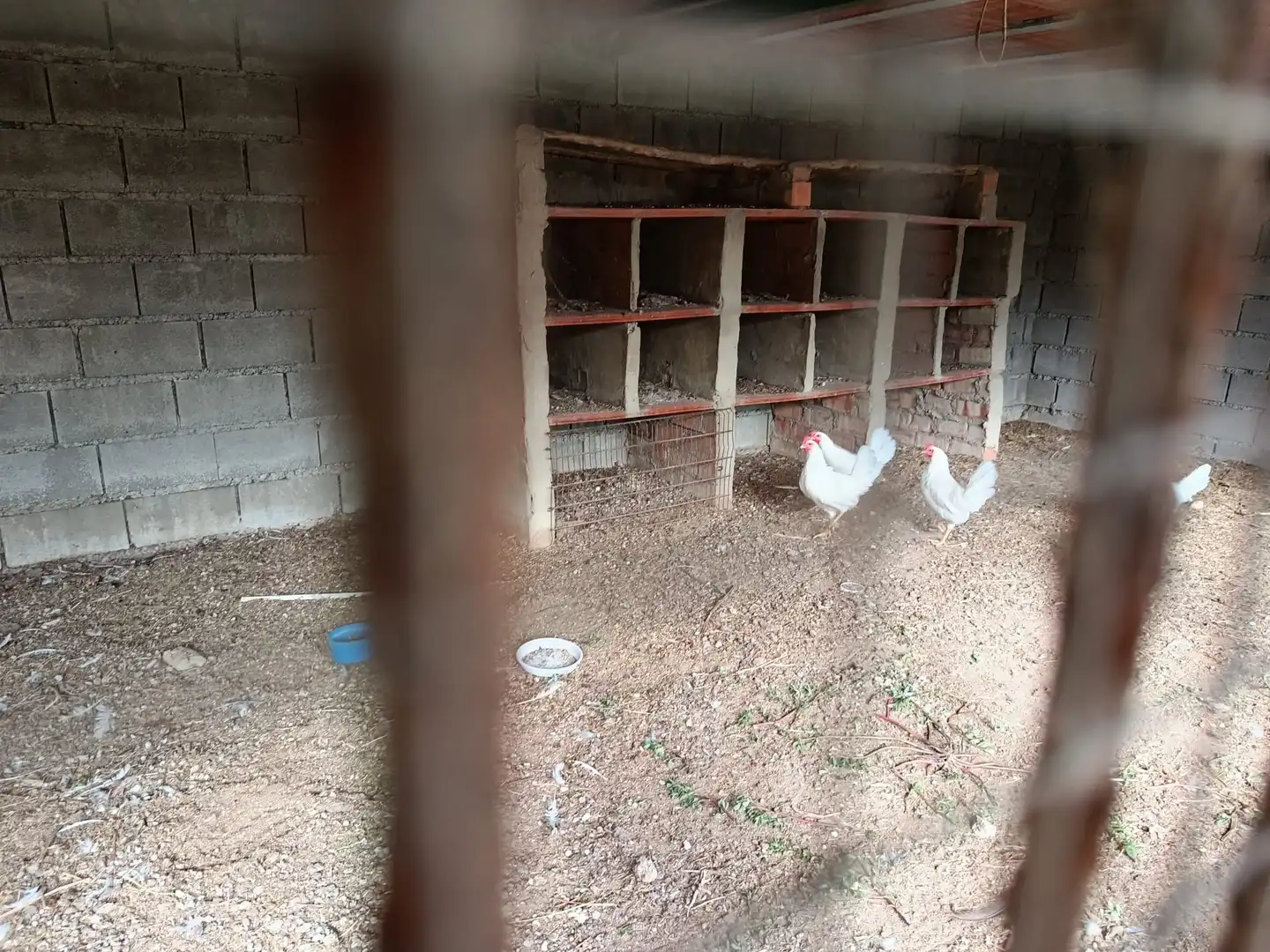 Haus zum Verkauf in Carretera diseminado arenillas, imagen 22
