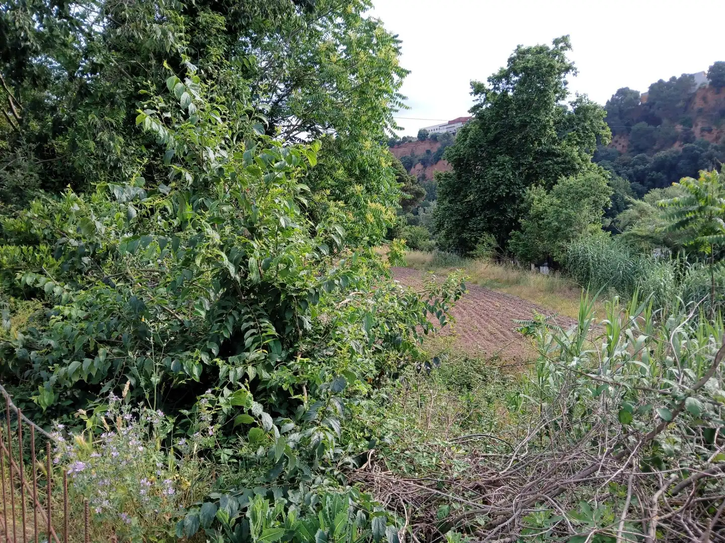 Terreno en venta en Castellar del Vallès