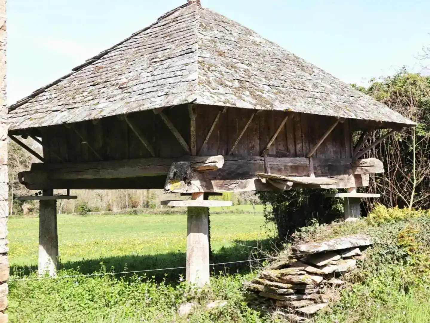 Vista exterior de Finca rústica en venta en Pol