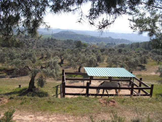 Land for sale in Avinguda Barcelona, 5, Flix