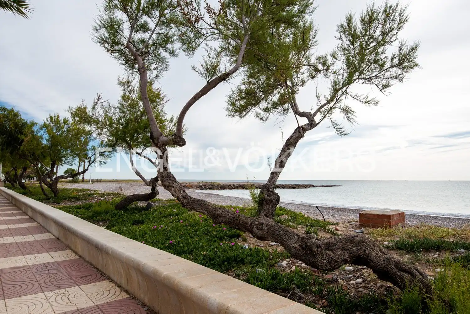 Adossat amb terrassa en venda a Moncófar Playa, imagen 32