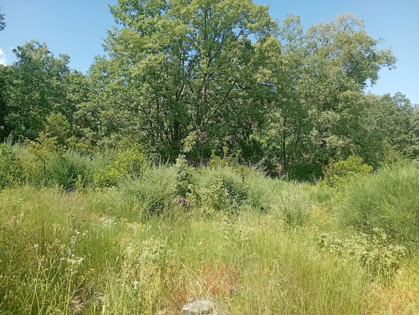 Terreni e lotti in vendita a Villanueva de la Vera, imagen 53