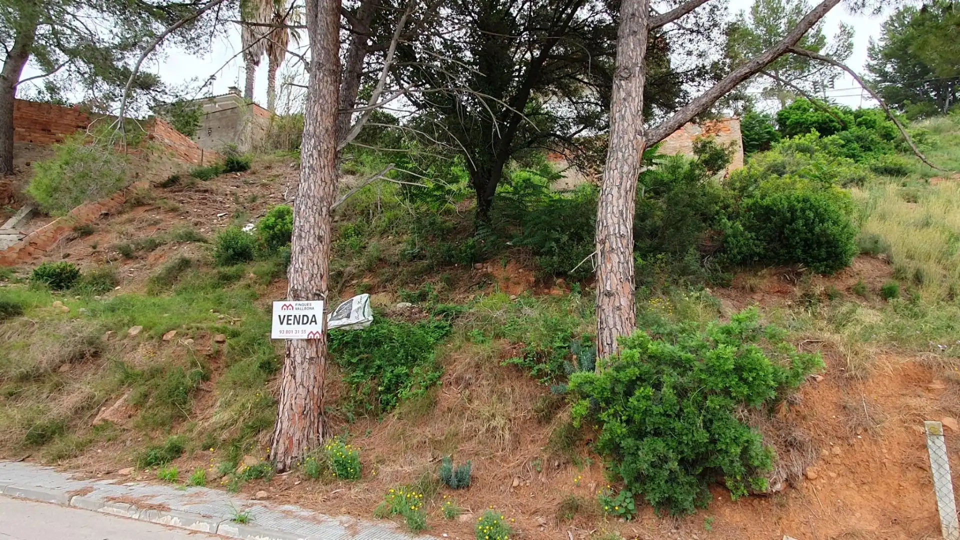Terrain résidentiel à vendre à Abrera, imagen 4