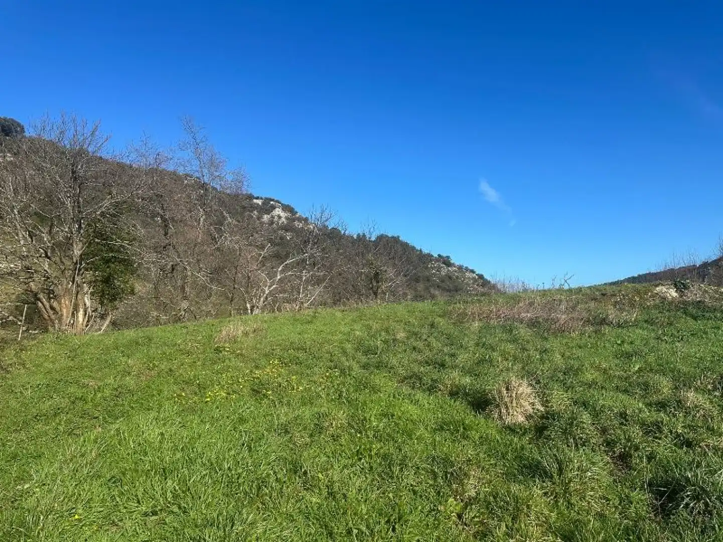 Rural land for sale in Peñamellera Baja - narganes, imagen 3