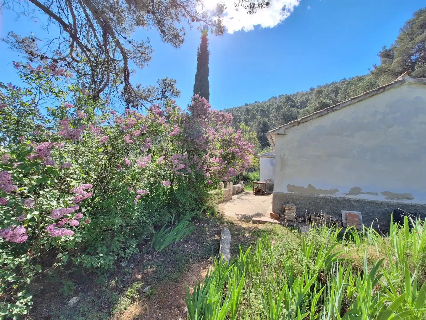 Jardí de Finca rústica en venda en Alcoy / Alcoi amb Traster i Moblat
