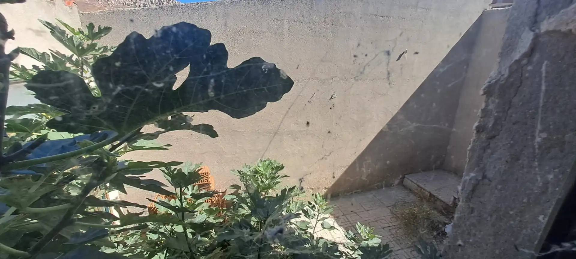 Jardí de Casa o xalet en venda en Puertollano