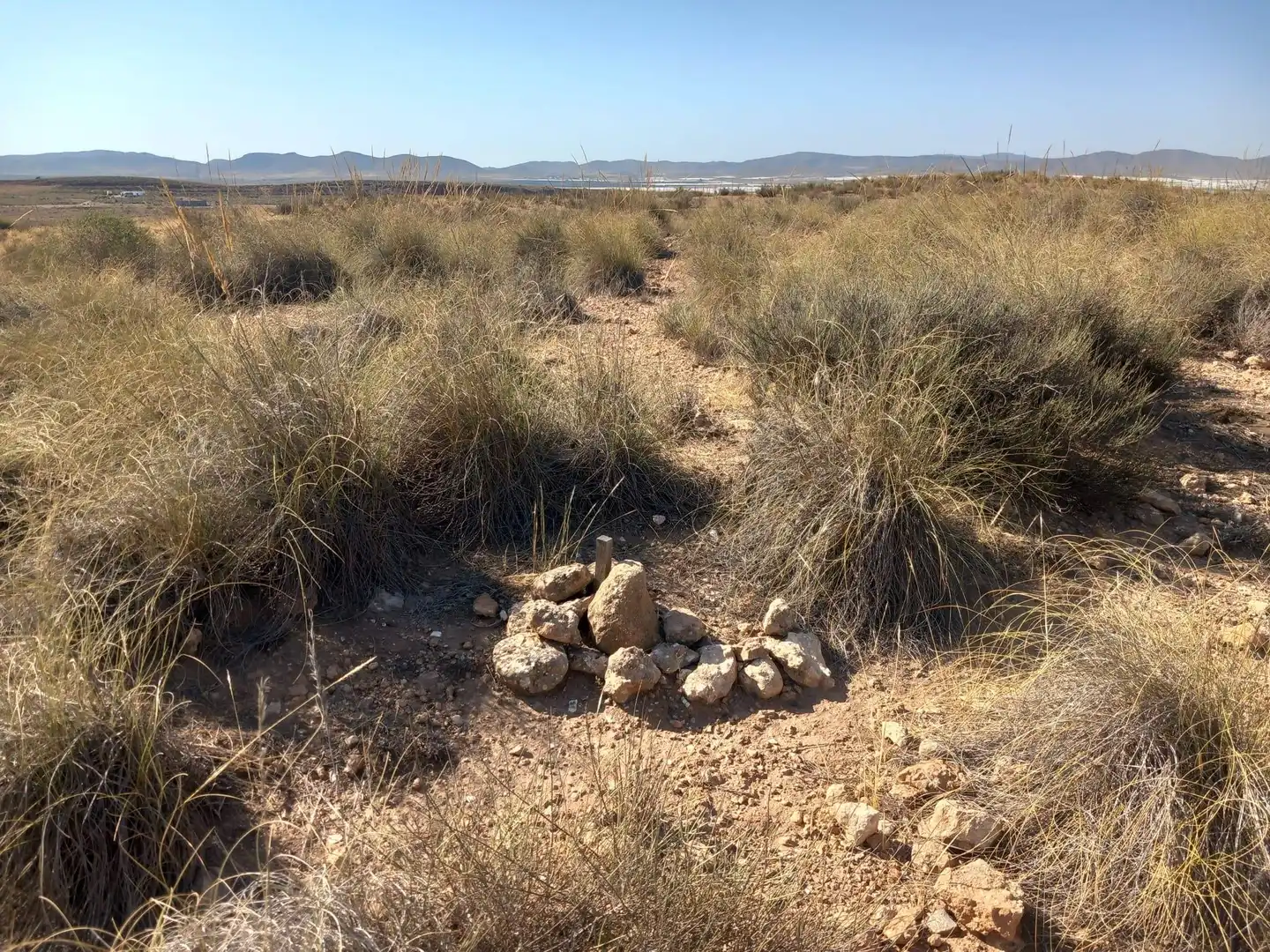 Terreny rústic en venda a San Isidro - Campohermoso, imagen 52
