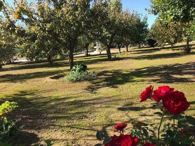 Haus mit Pool zum Verkauf in Almodóvar del Río, imagen 14