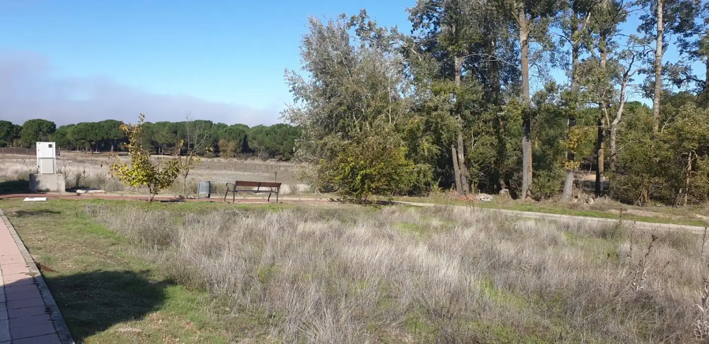 Terreni e lotti in vendita a Aldeamayor de San Martín, imagen 19