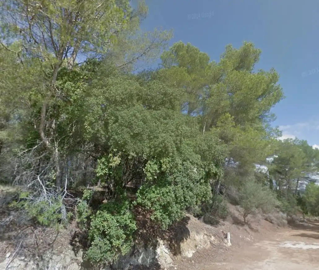 Terreno residenziale in vendita a Carrer de la Vallesa 187, imagen 23
