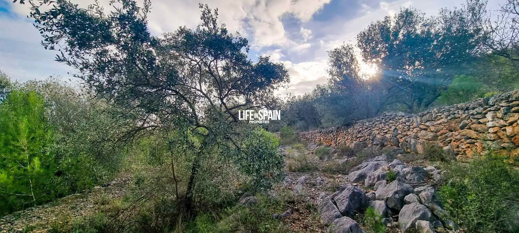 Finca rústica en venda en Roquetes amb Jardí privat i Piscina