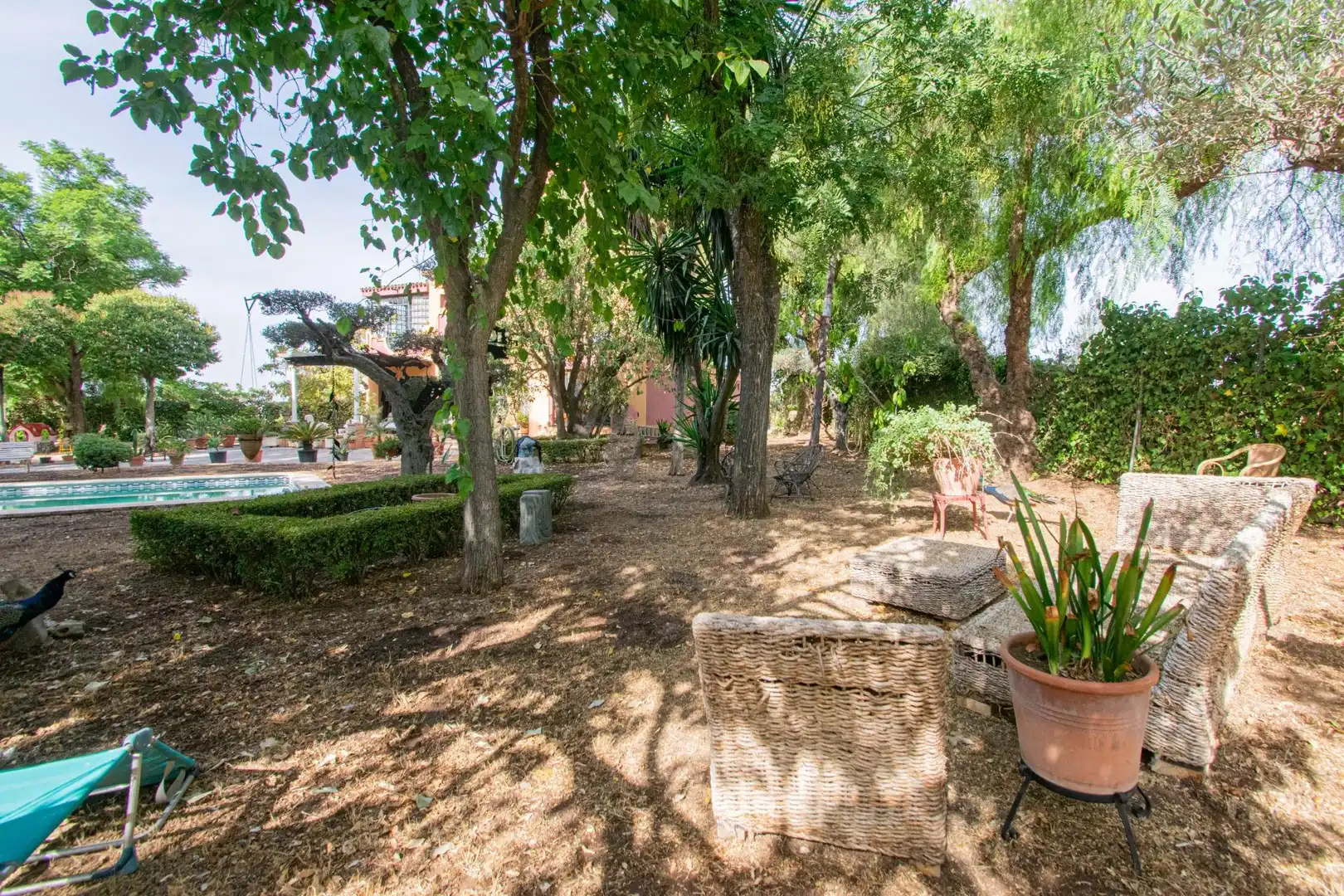 Garten von Country house zum Verkauf in Mairena del Aljarafe mit Terrasse, Schwimmbad und Balkon