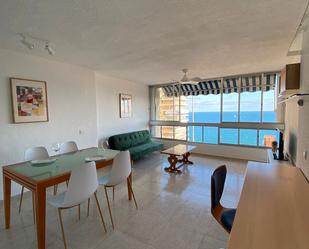 Living room of Flat to rent in Alicante / Alacant  with Furnished and Pets allowed