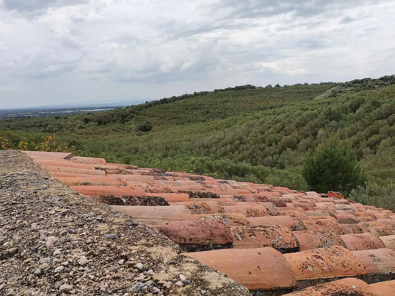 Finca rústica en venta en La Sénia con Terraza