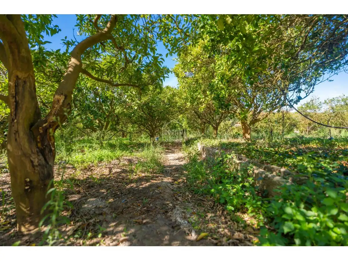 Maison rustique avec jardin à vendre à Alaior poble, imagen 19