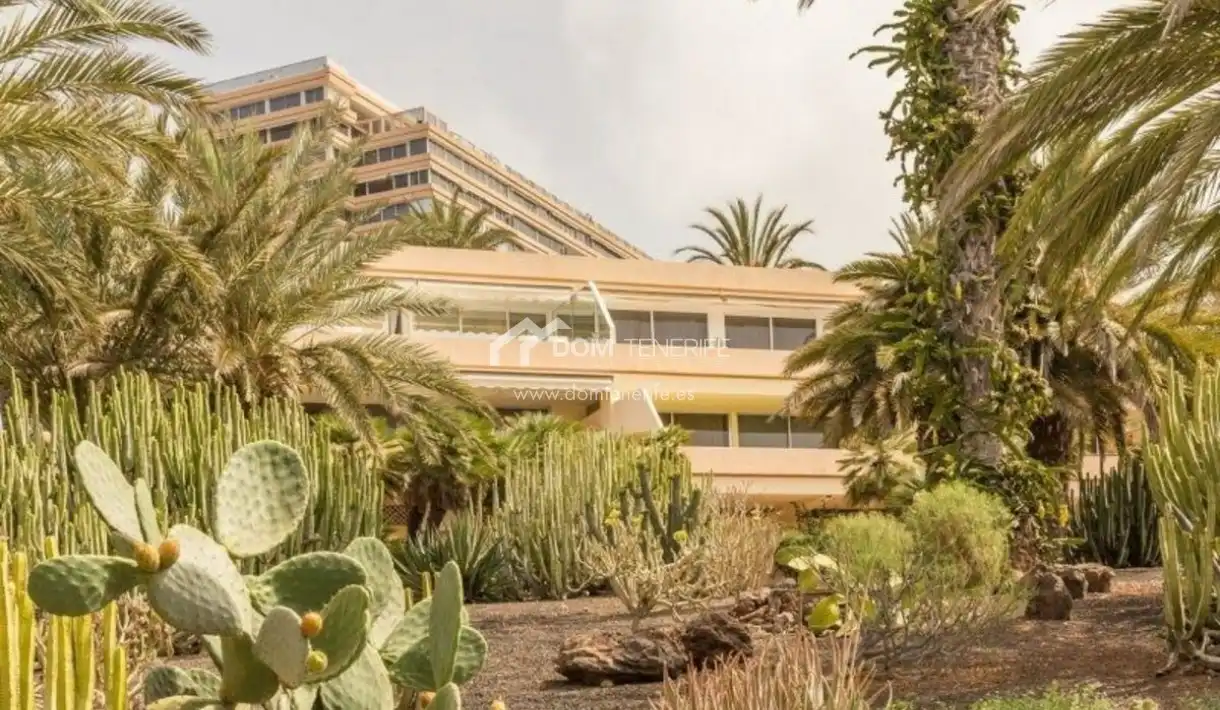 Vista exterior de Piso en venta en Adeje con Terraza, Piscina y Amueblado