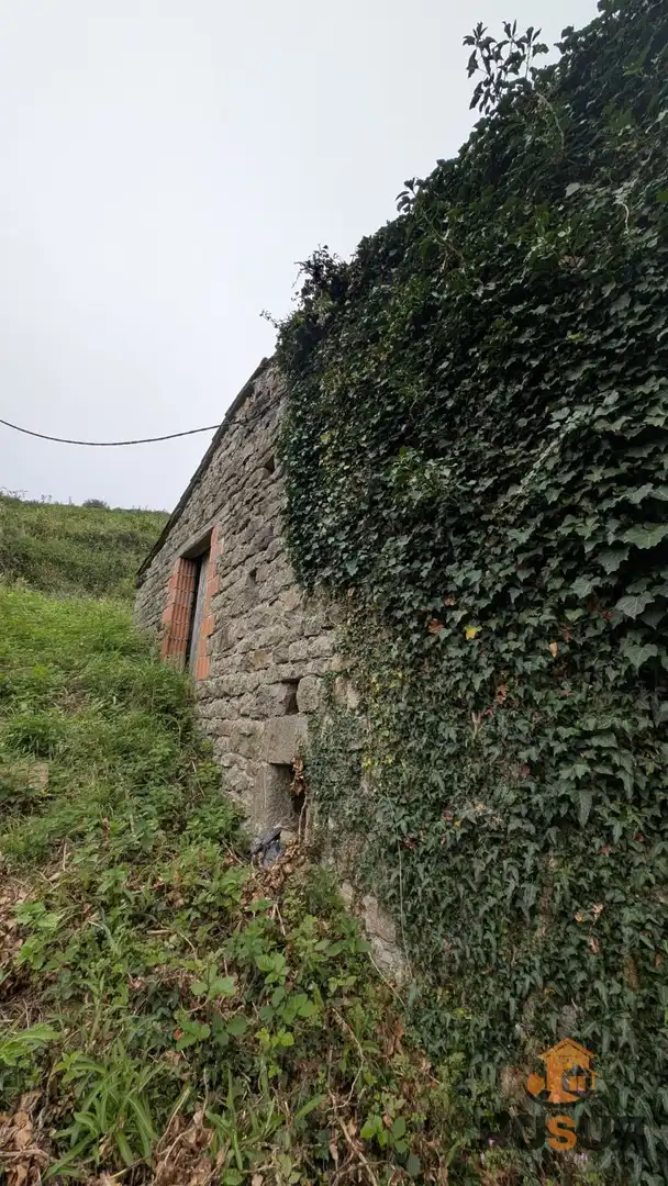 Vista exterior de Finca rústica en venta en Saro