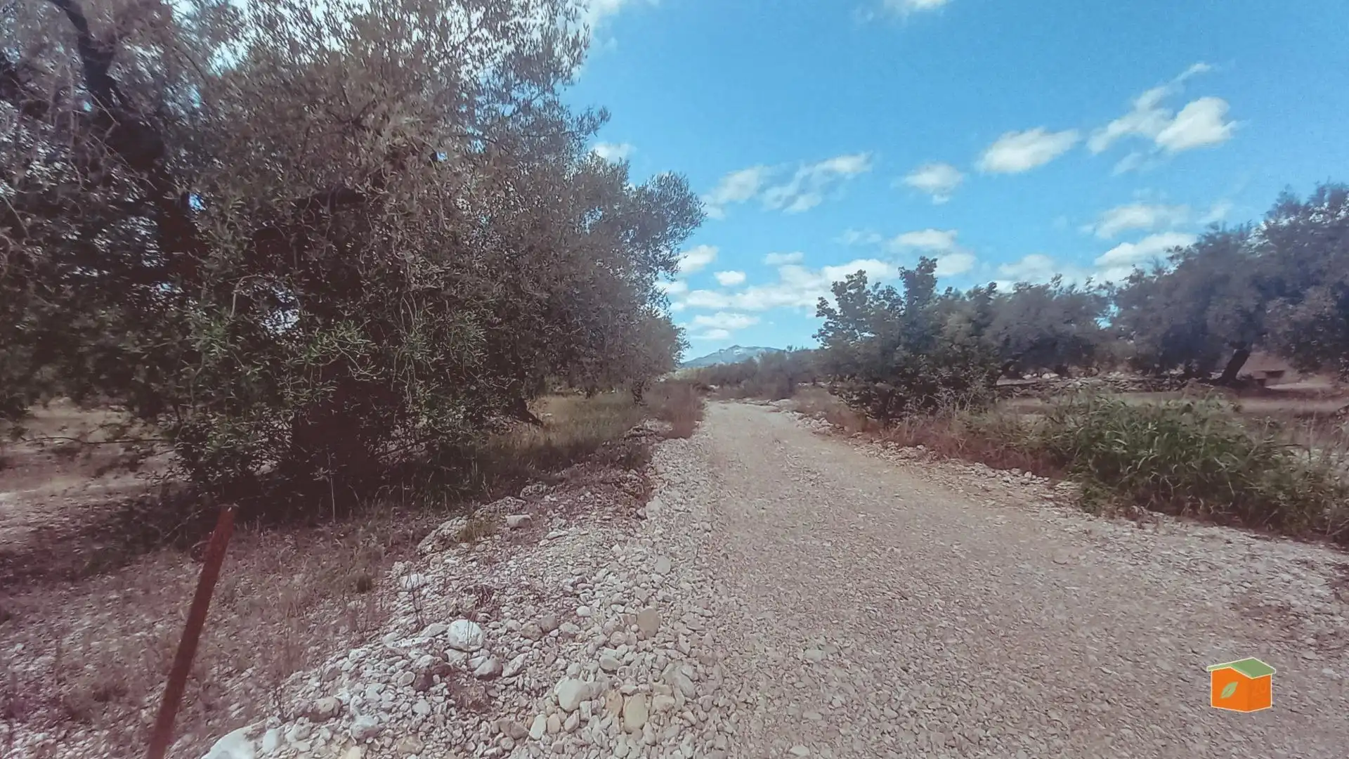 Maison rustique à vendre à Ulldecona, imagen 21