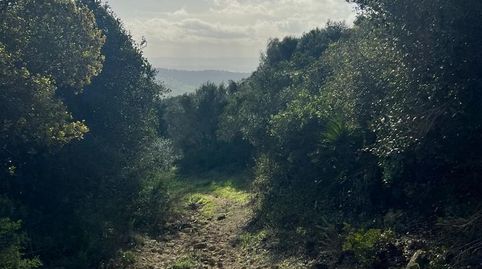 TERRENO RÚSTICO EN ZONA VALDECABRAS, imatge 3