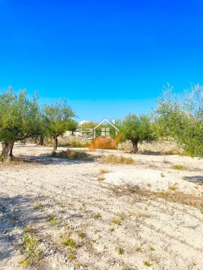 Country house for sale in Vélez-Blanco, imagen 8