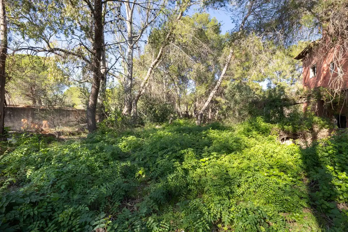 Terreno residenziale in vendita a Cami Ermita Nova, imagen 11