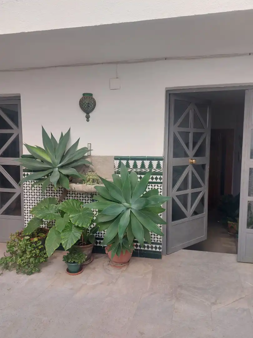 Casa con terraza en venta en Calle Alaminos, imagen 30