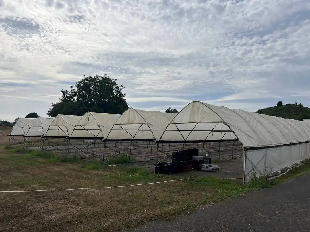 Terrenys i solars en venda a Llanera, imagen 22