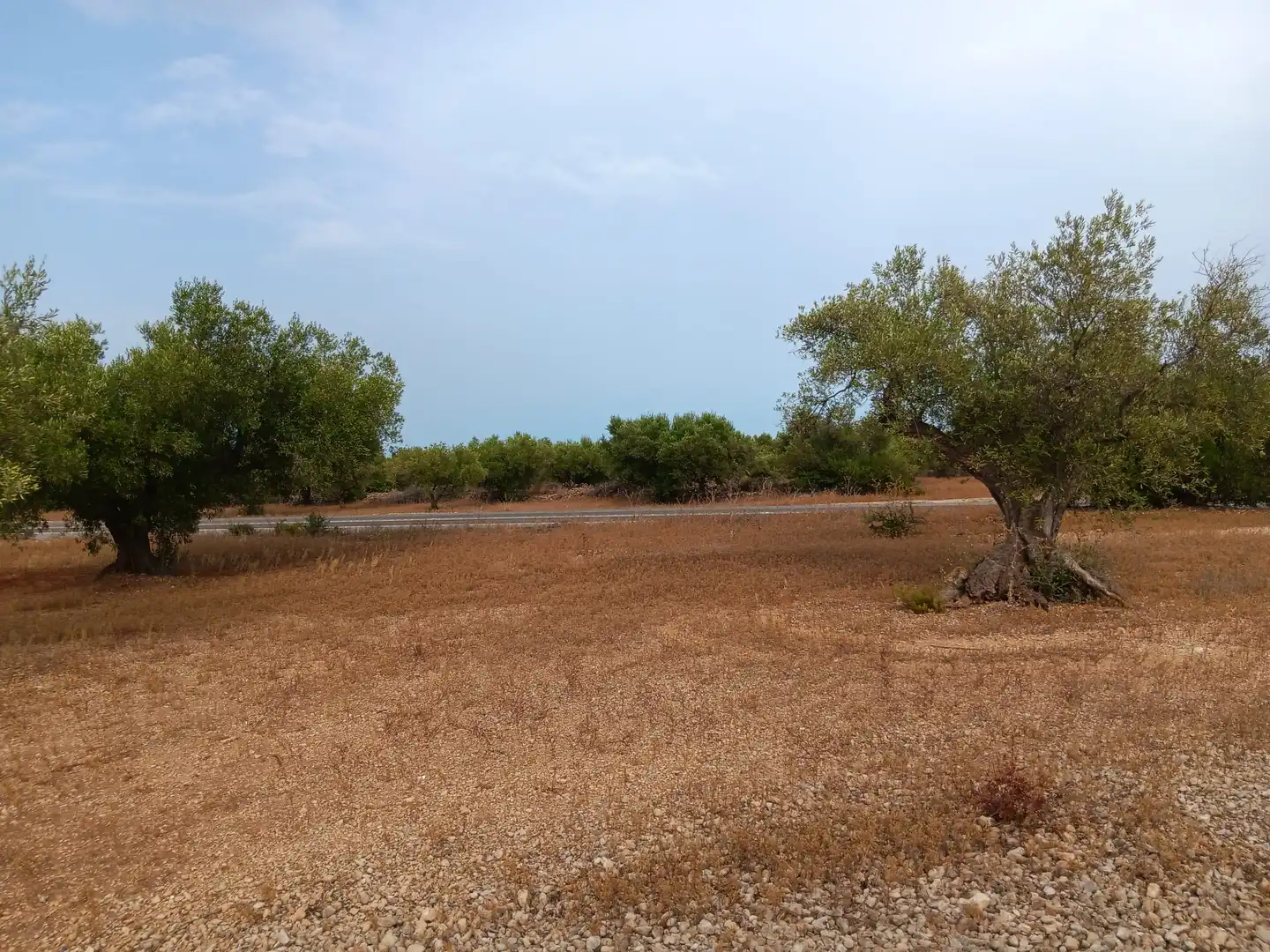 Terrenys i solars en venda a L'Ampolla, imagen 8