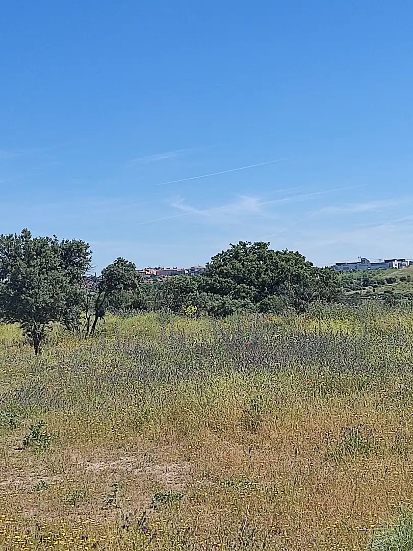 Land for sale in Navalcarnero