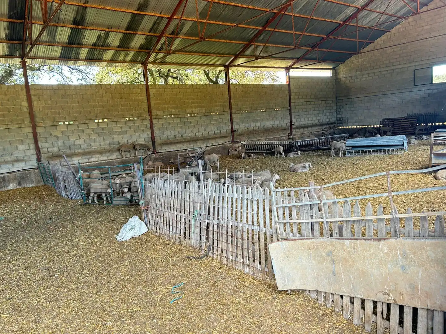 Vista exterior de Finca rústica en venta en Alanís