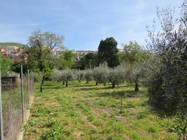 Jardín de Terreno en venta en Cenes de la Vega