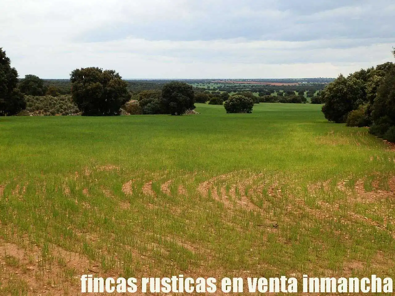 Terreno rustico in vendita a Ruidera