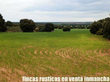 Terreno rustico in vendita a Ruidera