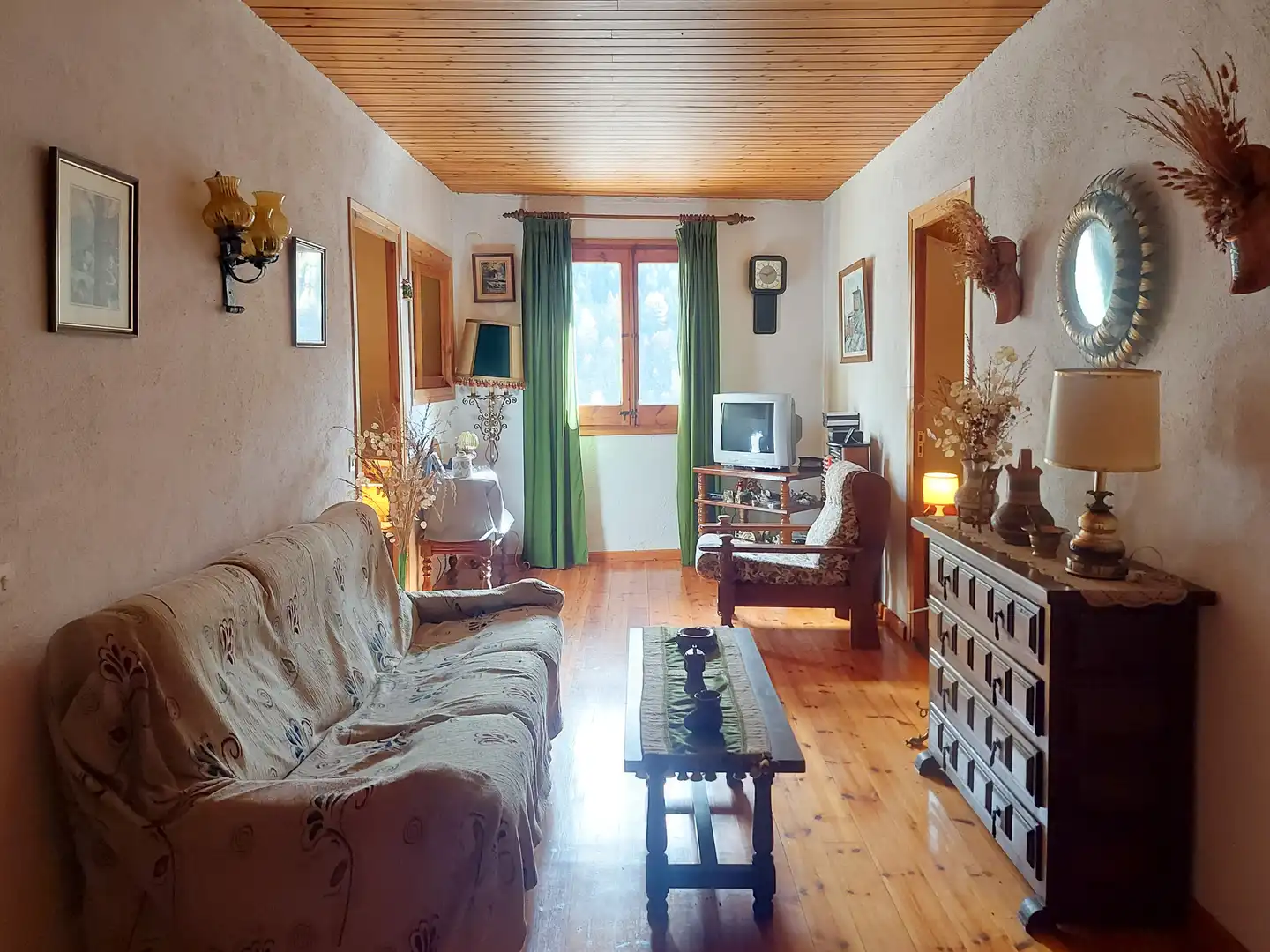 Sala de estar de Casa o chalet en venta en Setcases con Calefacción y Terraza