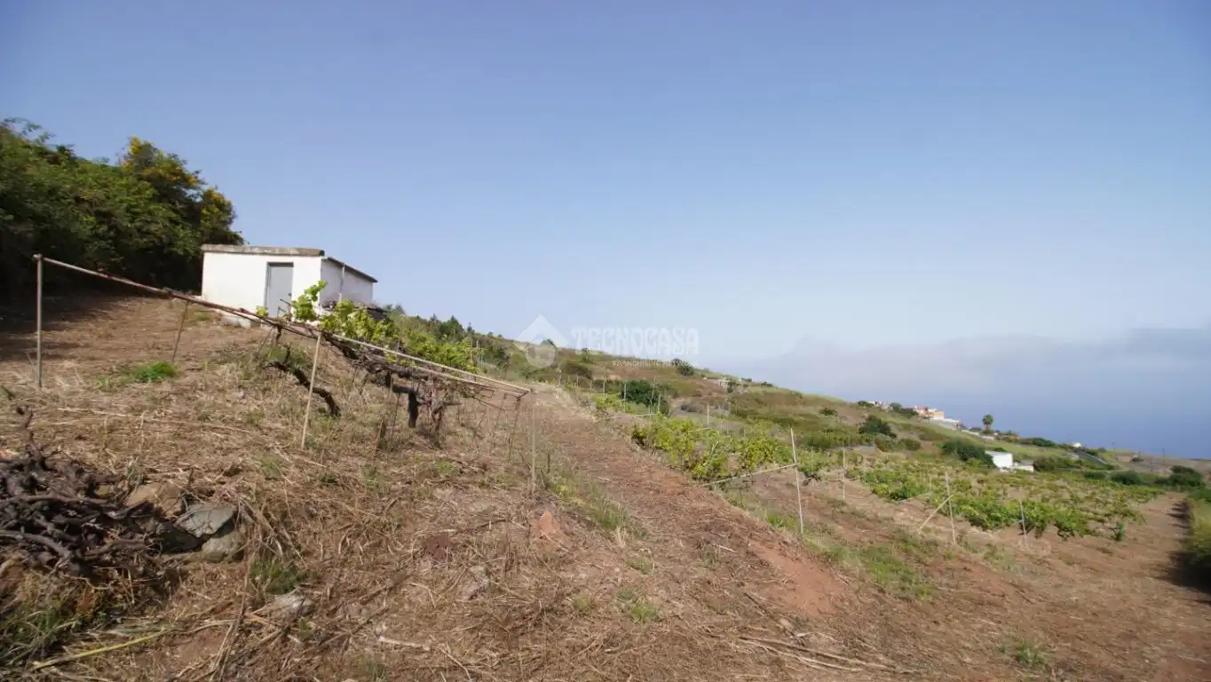 Finca rústica en venta en El Sauzal
