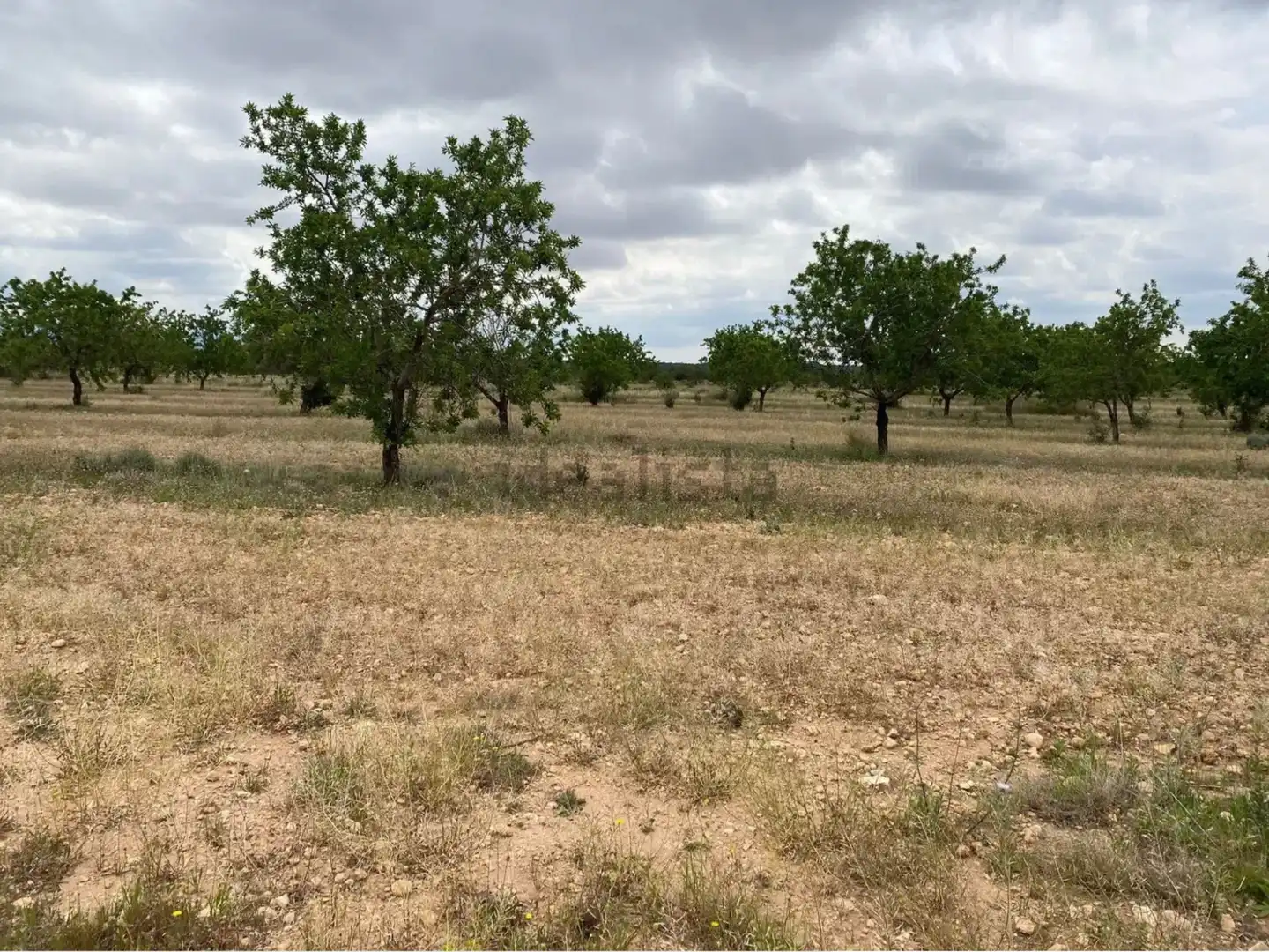 Terrain rustique à vendre à Carrer dels Teixidors, imagen 7