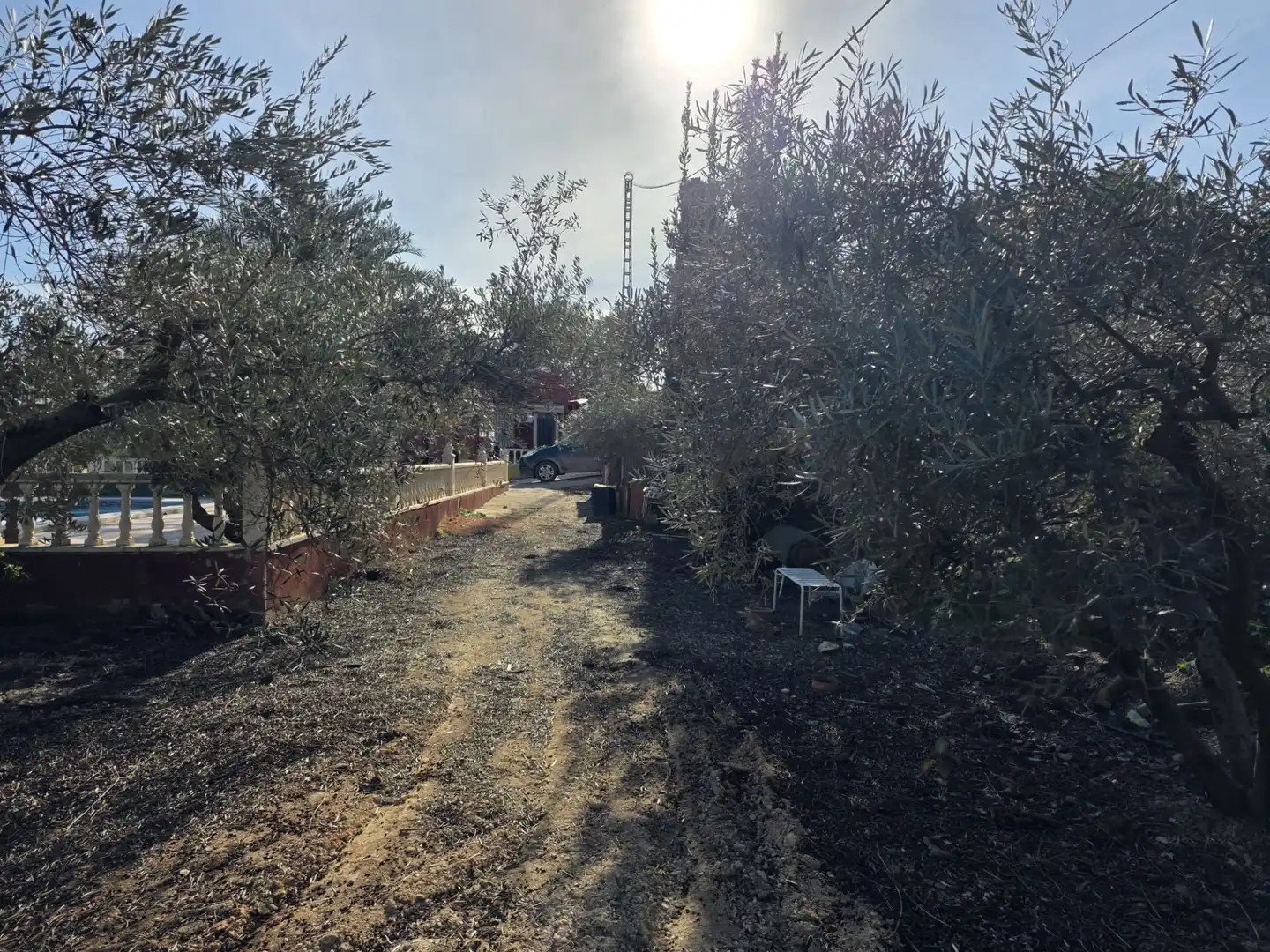 Jardí de Finca rústica en venda en Orihuela amb Aire condicionat, Jardí privat i Terrassa