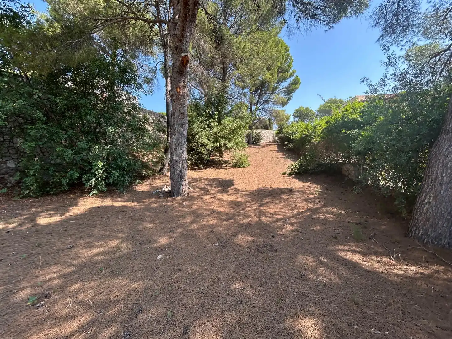 Terreno residencial en venta en Urbanizacion El Tossal, imagen 20