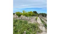 Finca rústica en venda en Chiclana de la Frontera
