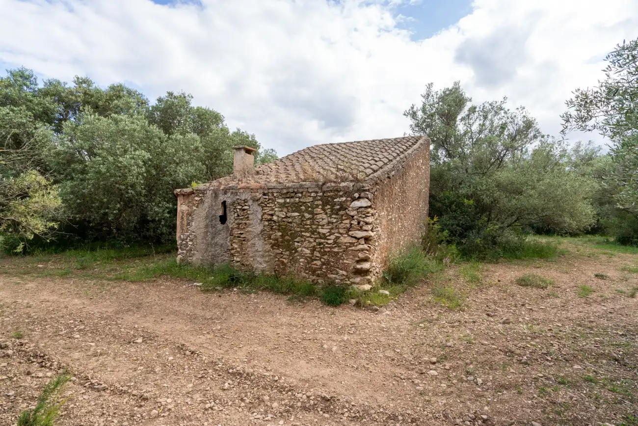 Rustikales Grundstück zum Verkauf in Carrer dels Reguers 24, imagen 6