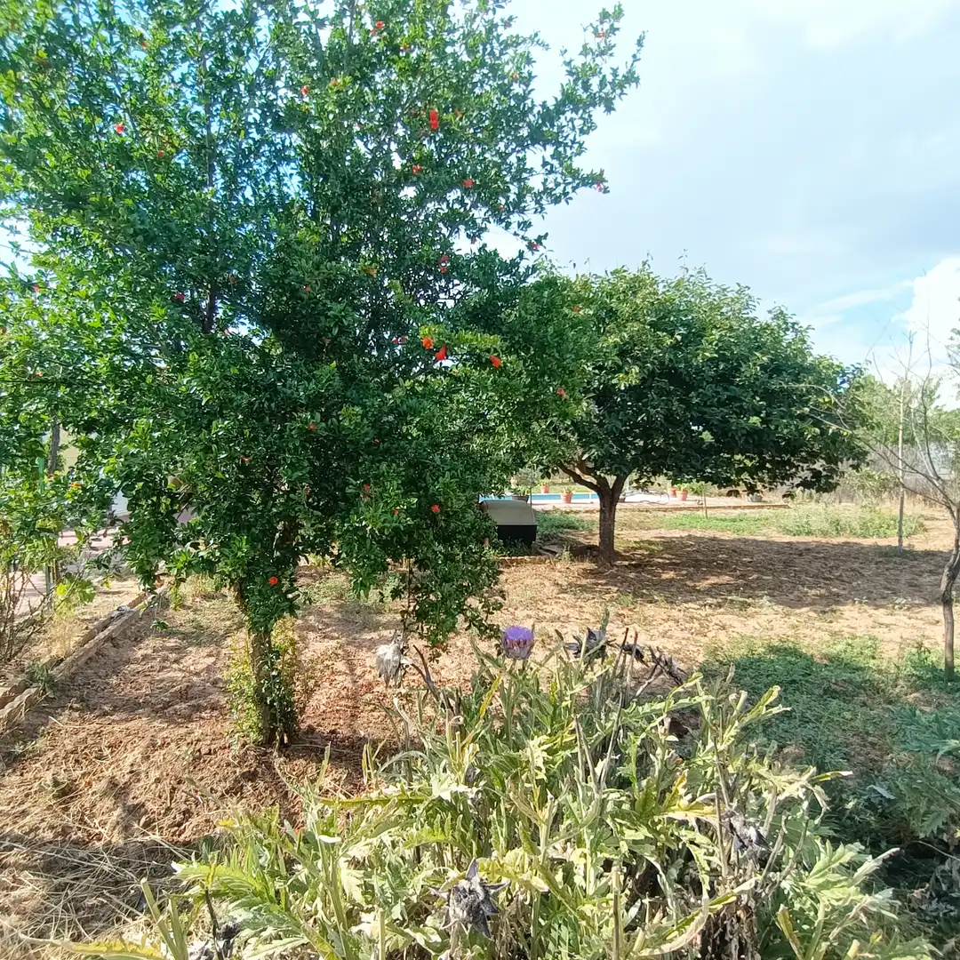 Terreny residencial en venda a Mejorada del Campo, imagen 18