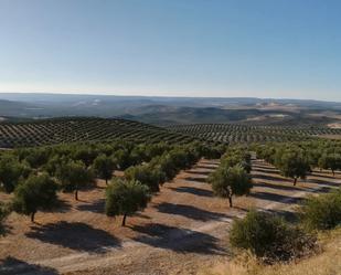 Exterior view of Land for sale in  Sevilla Capital