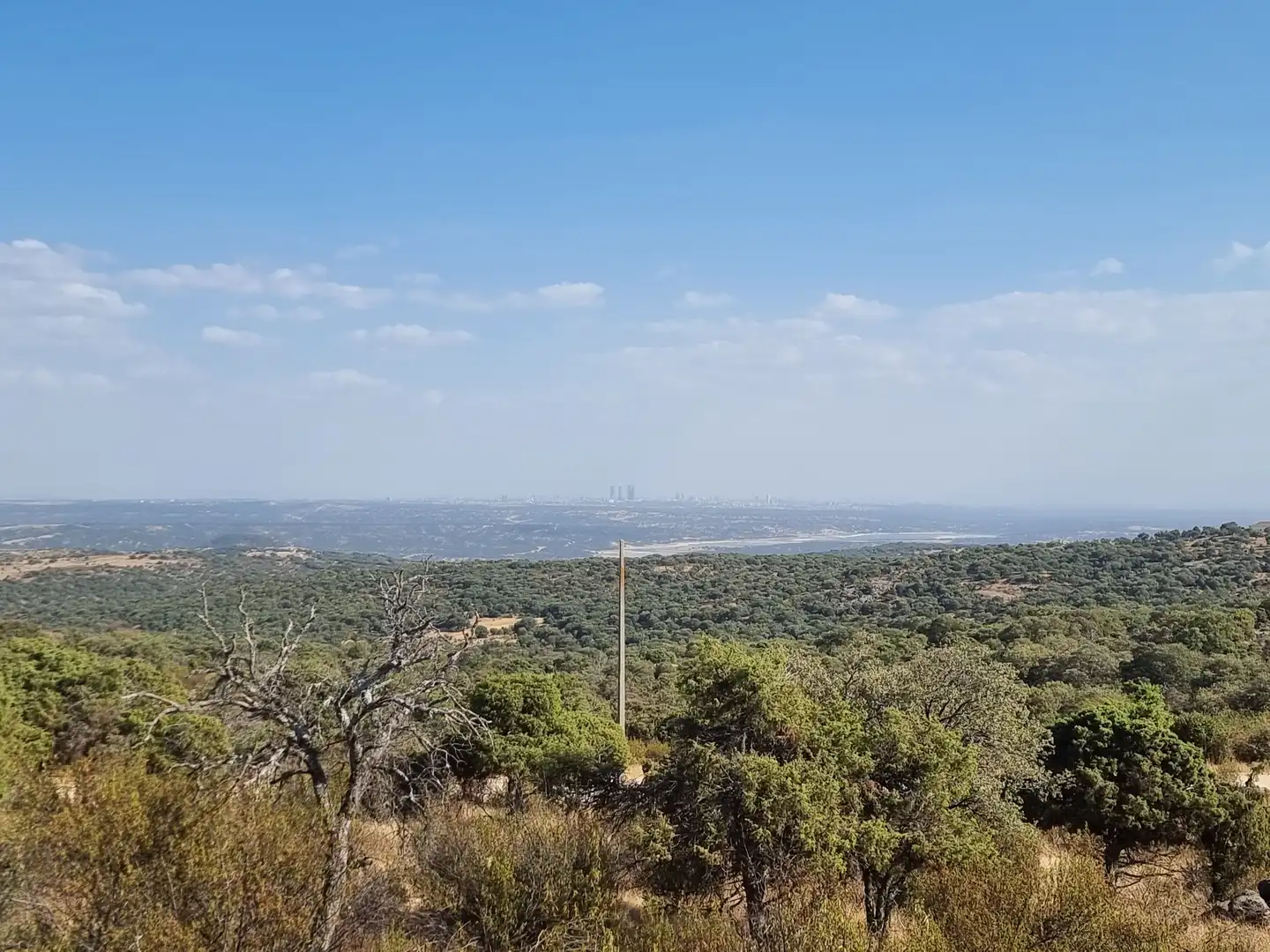 Land for sale in Colmenar Viejo