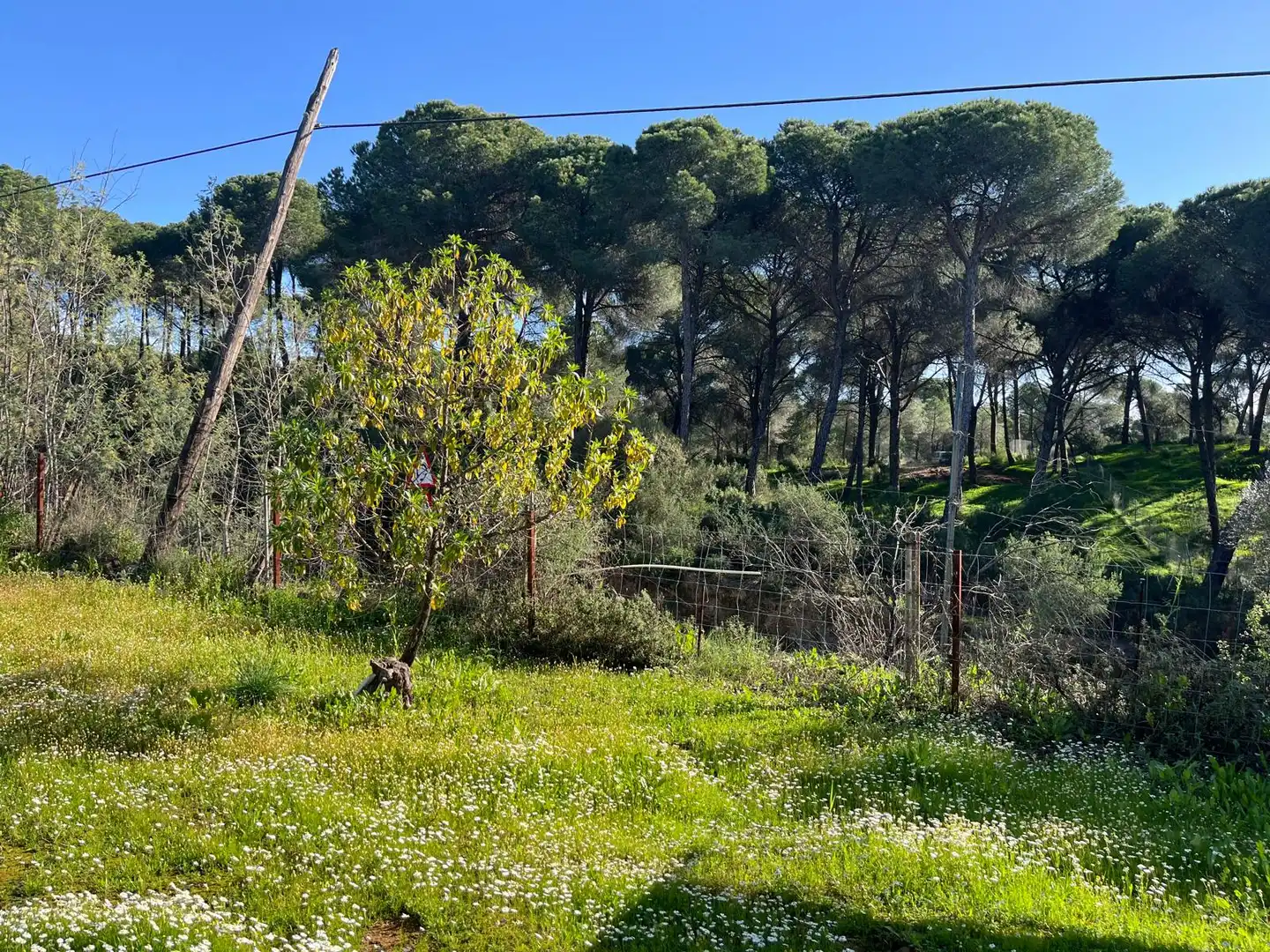 Chalet con jardín en venta en Diseminado Cuco Alto 1, imagen 27