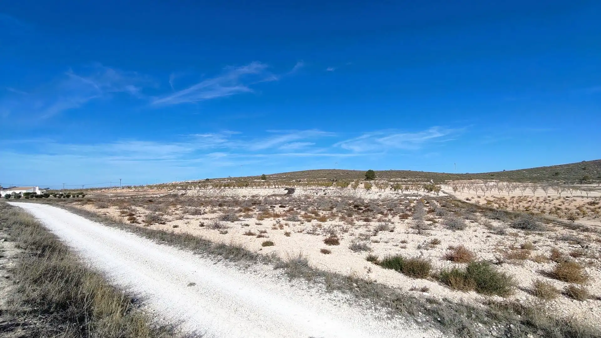 Lands and plots for sale in Abanilla, imagen 7
