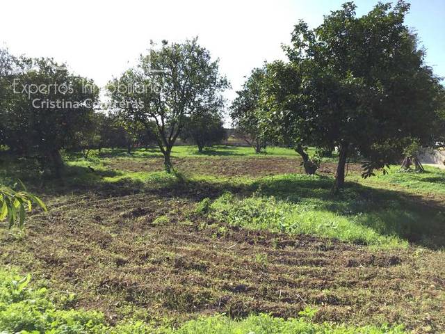 Terreno en Venta en Loreto