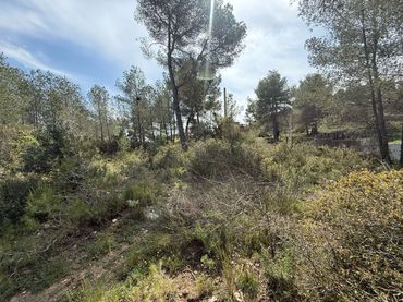 Terreni e lotti in vendita a Olivella