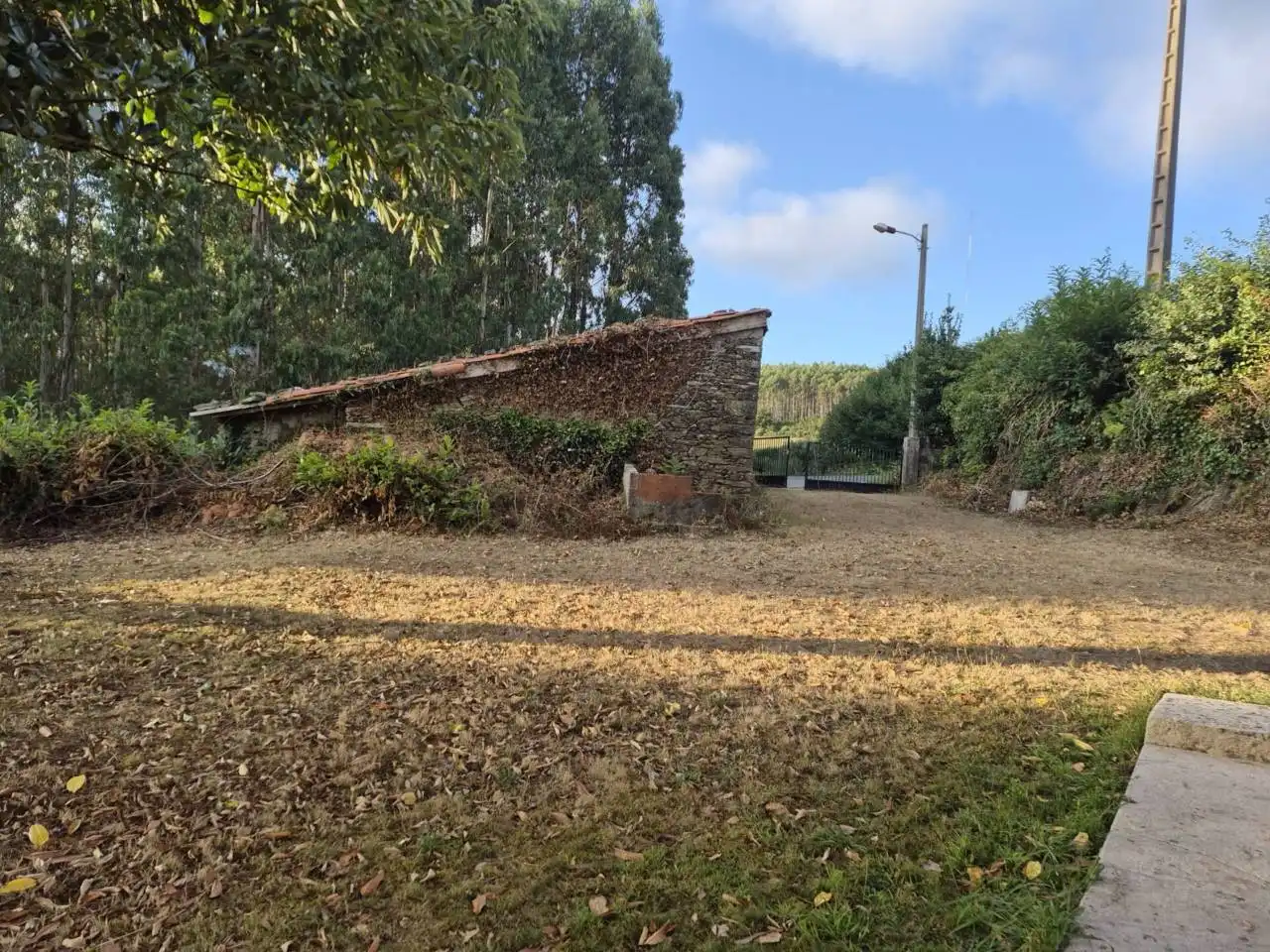 Exterior view of Houses for sale in Cesuras